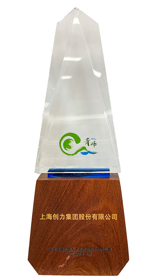 喜报！上海极速电竞集团荣获2023年度青浦区百强优秀企业等三项大奖(图3)
