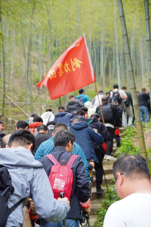 【乌峰探秘 绿动极速电竞】极速电竞集团成功举办2026年春季徒步活动(图6)